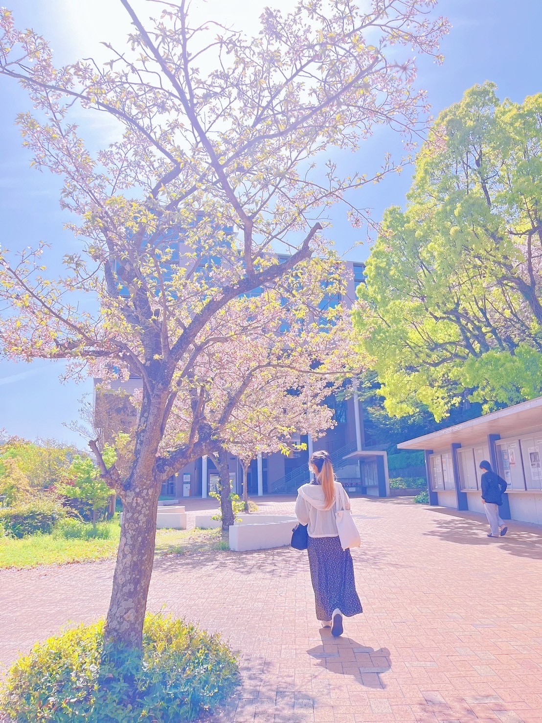 【2025年春】あいのりインターン参加者の声　Vol①